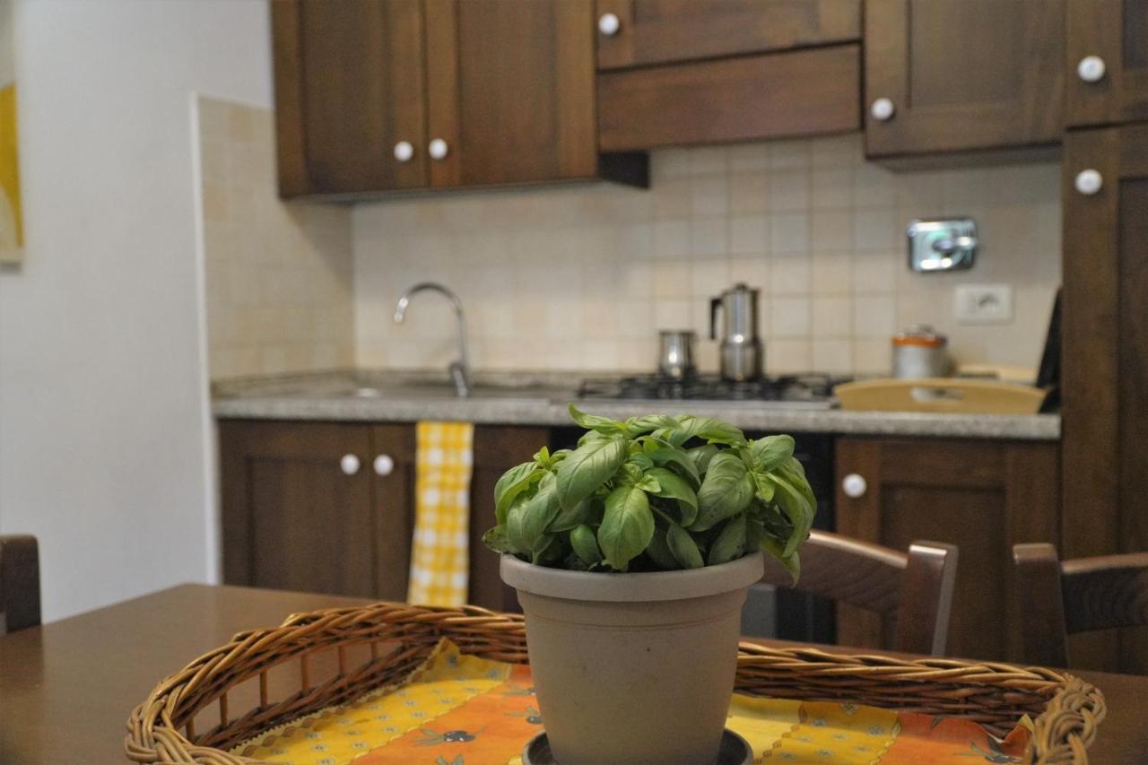 U Ciousu By Ligurian Life Appartamenti In Agriturismo Vallebona 외부 사진
