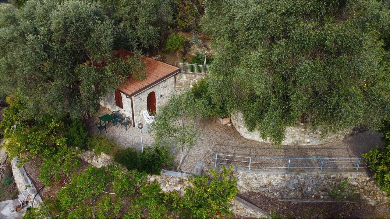 U Ciousu By Ligurian Life Appartamenti In Agriturismo Vallebona 외부 사진