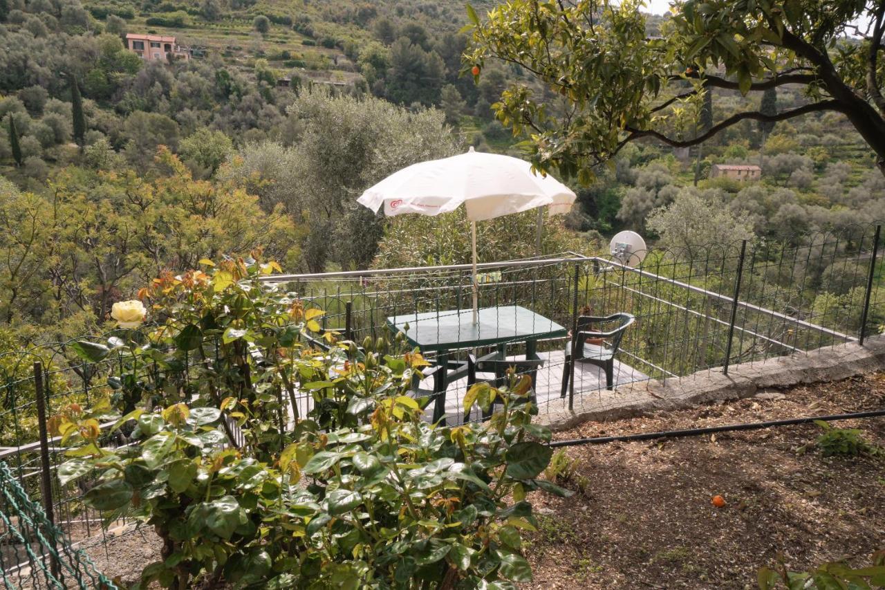 U Ciousu By Ligurian Life Appartamenti In Agriturismo Vallebona 외부 사진