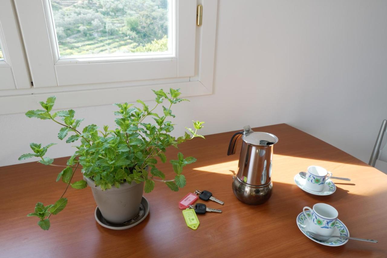 U Ciousu By Ligurian Life Appartamenti In Agriturismo Vallebona 외부 사진