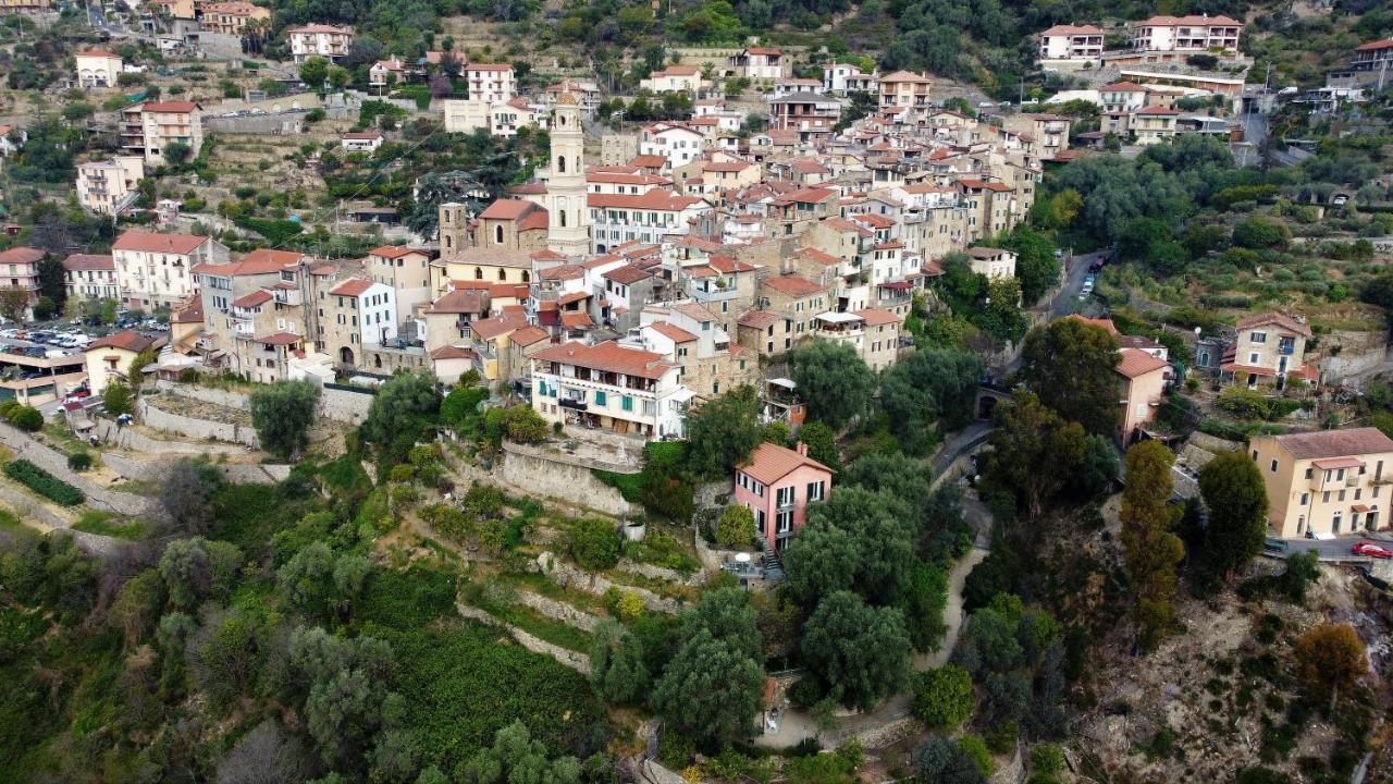 U Ciousu By Ligurian Life Appartamenti In Agriturismo Vallebona 외부 사진