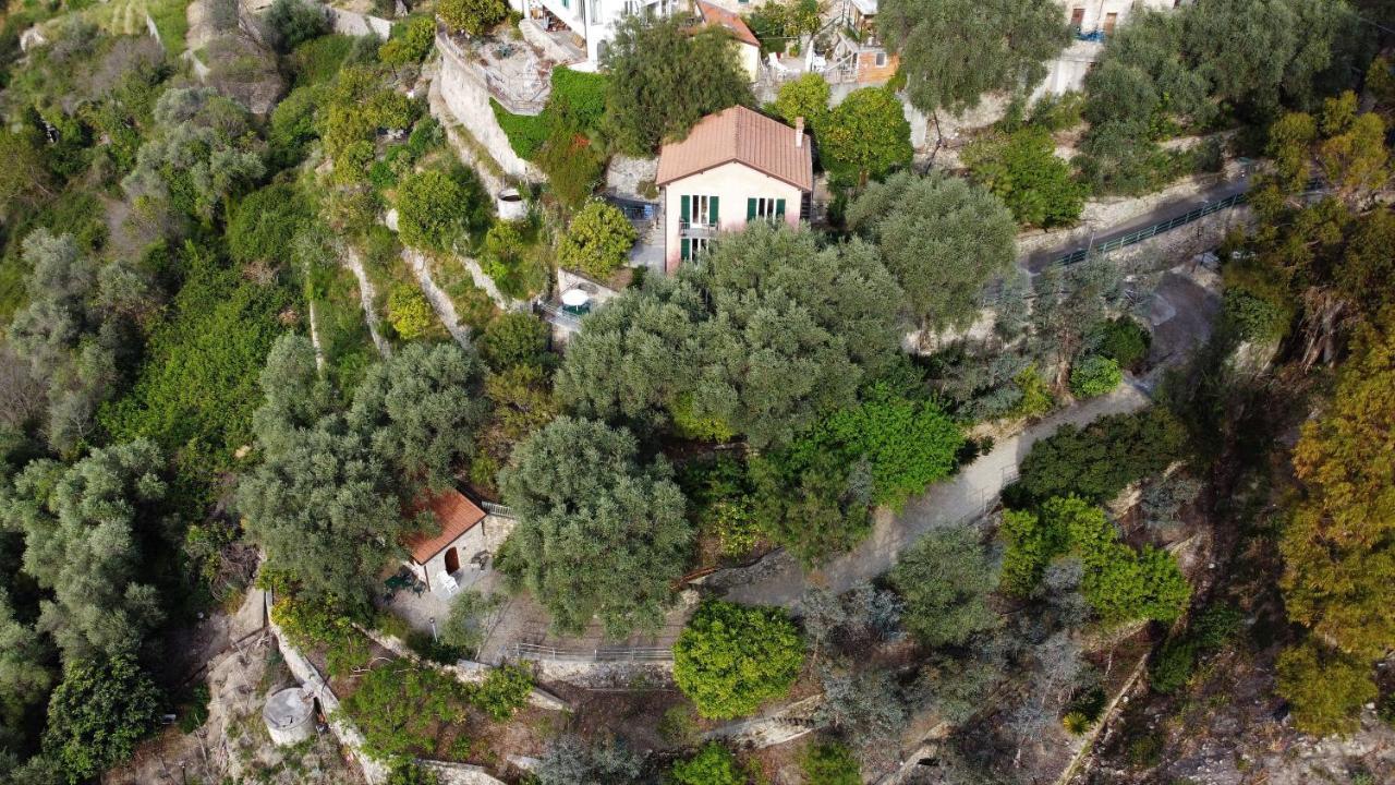 U Ciousu By Ligurian Life Appartamenti In Agriturismo Vallebona 외부 사진