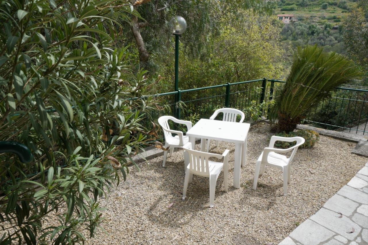 U Ciousu By Ligurian Life Appartamenti In Agriturismo Vallebona 외부 사진