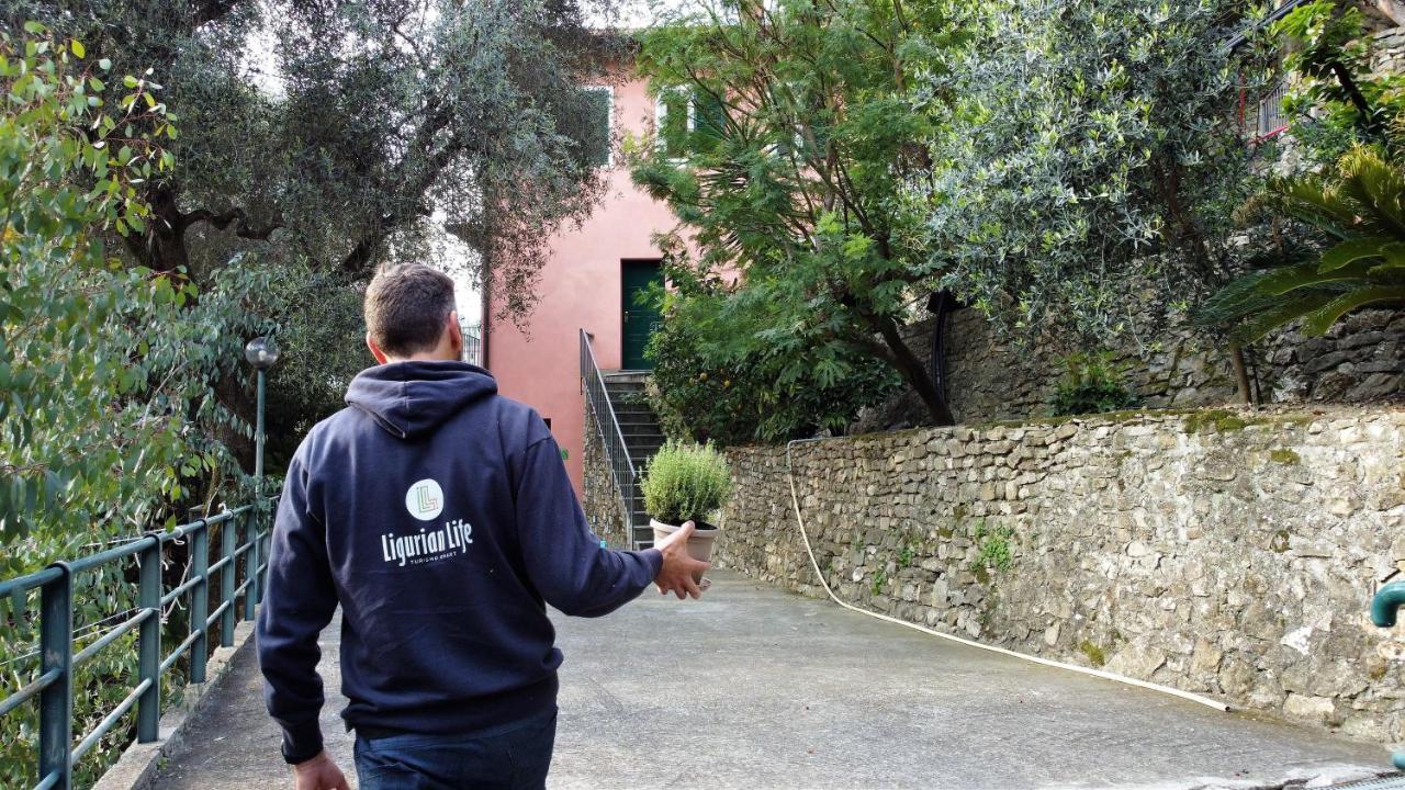 U Ciousu By Ligurian Life Appartamenti In Agriturismo Vallebona 외부 사진
