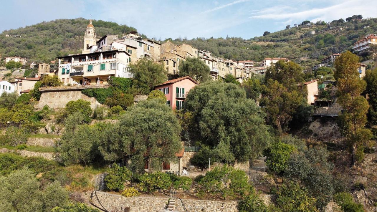 U Ciousu By Ligurian Life Appartamenti In Agriturismo Vallebona 외부 사진